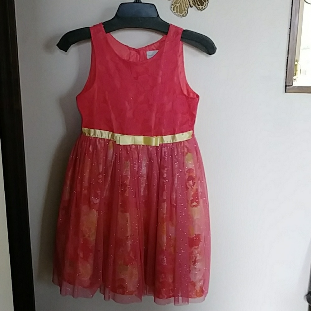 Sweet Heart Rose Dress Girls Size 12
